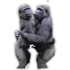 Cecki gorilla 26