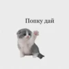 Попку дай