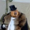 Больше стикеров: @capybarastiker 26