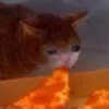 Crying Cat, @icarusfalls 27