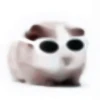 :; hamsters @xiroe 24