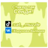 Cat._.muzzle._.meow 26