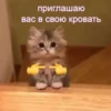 приглашаю вас в свою кровать