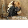 Animals :: @fStikBot 27