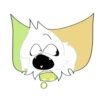 Cat._.muzzle._.meow 29