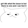 girl idk what the issue is but there is one and i can feel it