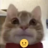 @ZXCOLEVAP 5