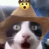 @ZXCOLEVAP 8