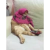 Cats 9