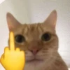 @ZXCOLEVAP 9