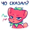 ЧО СКАЗАЛ?