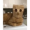 Cats 11