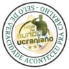 BRASILZ 10