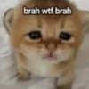@ZXCOLEVAP 11