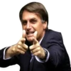 BRASILZ 11