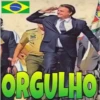 BRASILZ 12