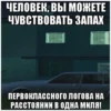 Wasted GTA 8