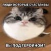 @ZXCOLEVAP 13