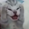 @ZXCOLEVAP 19