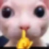 @ZXCOLEVAP 20