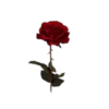 AEsthetic 15