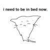 i need to be in bed now. catcrumb