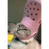 Cats 19