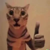@ZXCOLEVAP 24