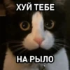 ХУЙ ТЕБЕ НА РЫЛО