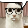 @ZXCOLEVAP 26