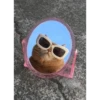 Cats 26