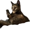 Hi, I’m Kitty 19