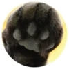 Nice Cats @stickersb2b 18