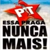 BRASILZ 26