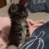 ):