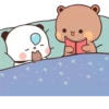 🐻‍❄️ & 🐻 @BubuDuduBears 12