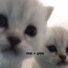 me + you