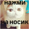 нажми на носик