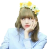 @jonafzan BLACKPINK 13