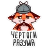 Паппи @colored_emotions 24