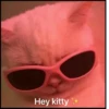 Cat’ cats 21
