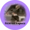 zdesita`s emergency kit 22