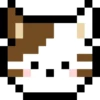 CatsPack 10