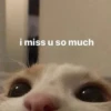 i miss u so much