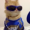 Kitty 4 19