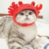 cats🐱 27