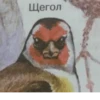 Щегол