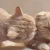 me you