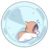 [Chibi] Blue Lock (@TodorokiShouto) 6