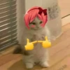 Cats ; @GIFLANDII 7